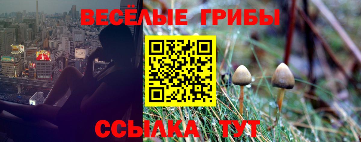 где продают наркотики  Псилоцибиновые грибы Psilocybe  Корсаков  Вход с VPN  Псилоцибиновые грибы Magic Shrooms 